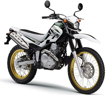 Enduro  Why is the Yamaha Serow 250 THE BEST FOR A BEGINNER  YouTube