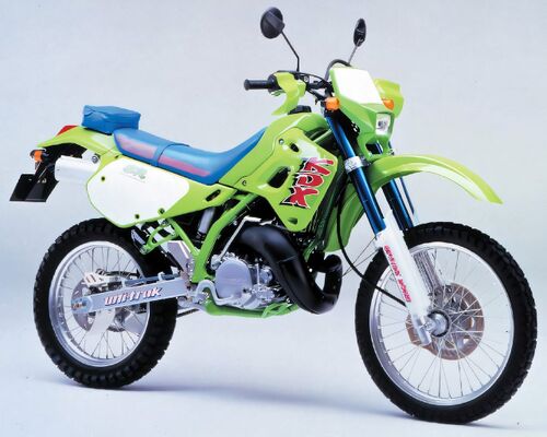 Kawasaki KDX250